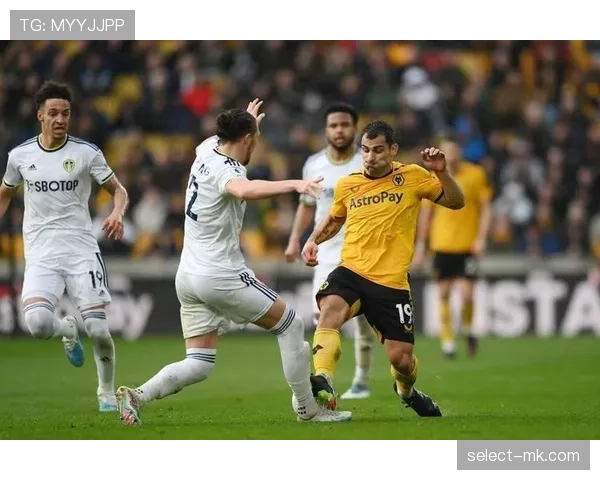 视频比赛官员（VAR）如何影响判罚？一文看懂介入标准与争议边界