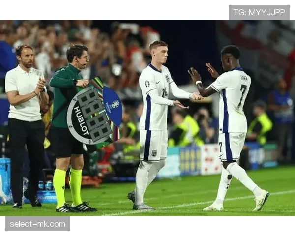 帕尔默与萨卡的成长潜力及战术适配性差异解析