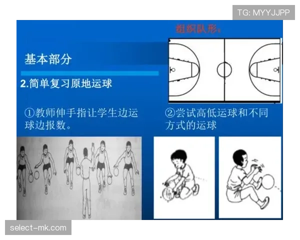 篮球持球规则全面解析：理解合法持球与运球的判定