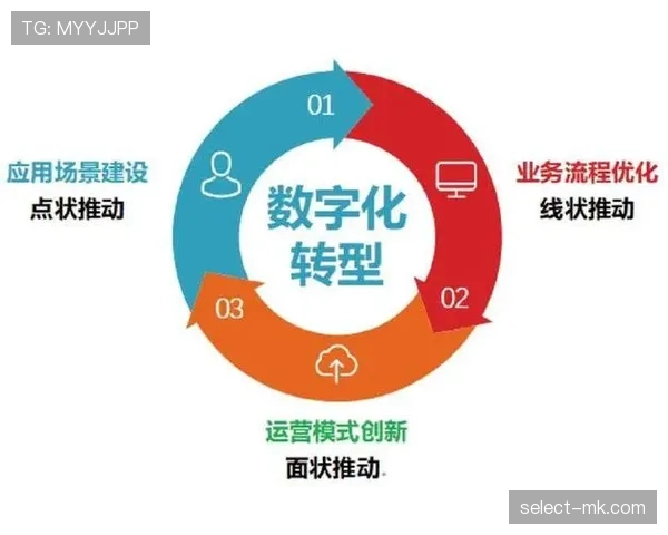 巴拉克与德科组织推进路径分化的原因与表现